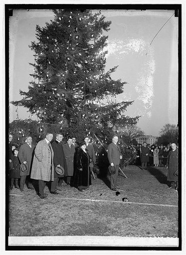 Coolidge & community Christmas tree, 12/24/23