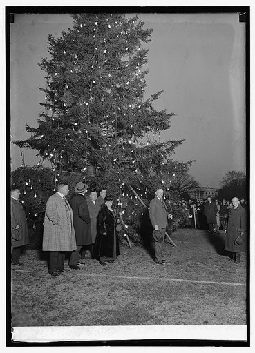 Community Christmas tree, 12/24/23
