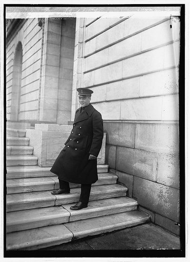 Tom Cobb King