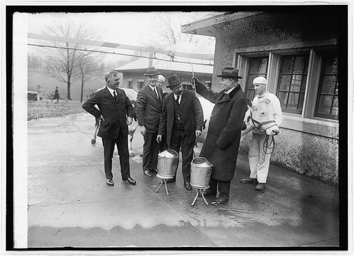 Wallace & Johnson milking contest