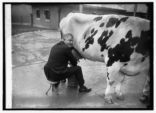 Wallace milking