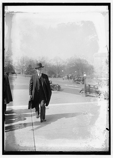 Senator Simmons