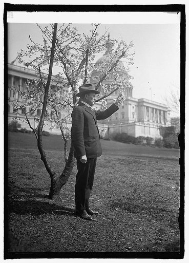 Senator Alvah V. Adams, 4/12/24