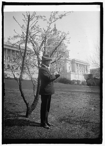 Senator Alvah V. Adams, [4/12/24