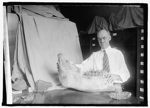 Chas. H. Gilmore, Curator, Smithsonian Institution, 7/18/24