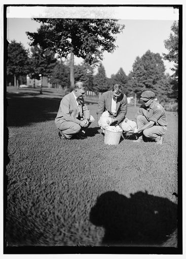Dr. W. Thurnheer of Swiss Legation & Sec. Wallace at Beltsville, [Md.], farm with production hens, 8/18/24