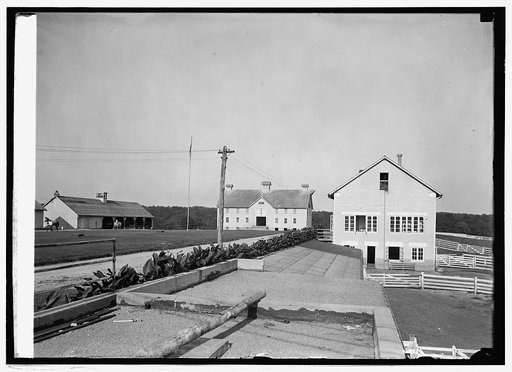 View of Beltsville, [Md.], farm and buildings, 8/18/24
