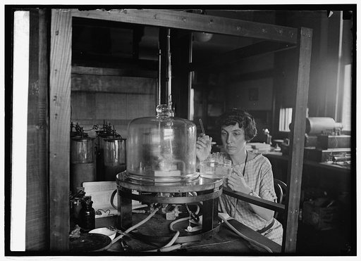 Miss V.P. Porter, Bu. of Standards, 8/18/24
