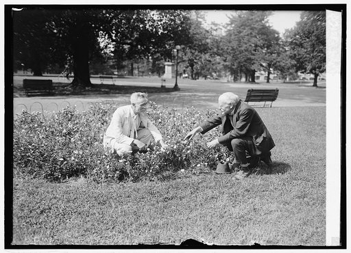 Prof. A.S. Hitchcock, Ag. Dept. & Dr. Otto Stapf at Ag. Dept., 9/2/24
