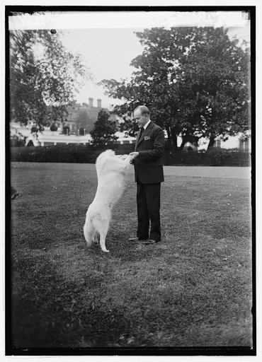 Pres. Coolidge with "Rob [Roy," 10/31/24
