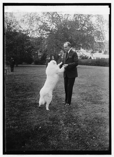 Pres. Coolidge with "Rob Roy," 10/31/24
