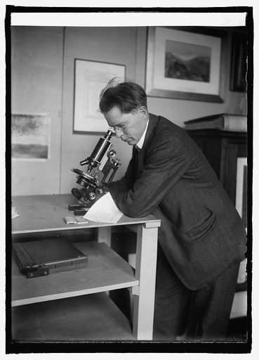 R.P. Tolman at museum, with letter in eye of needle, [12/17/24