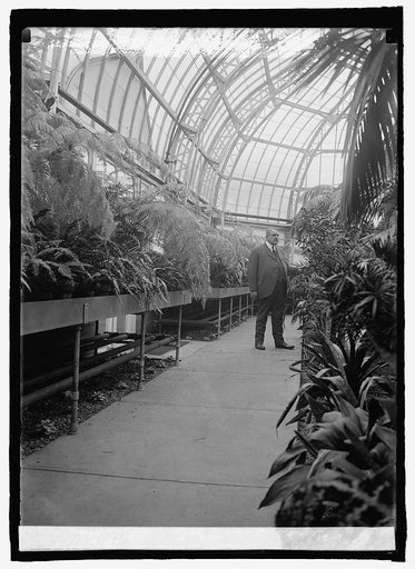 George Hess at Botanic Gardens, 12/23/24