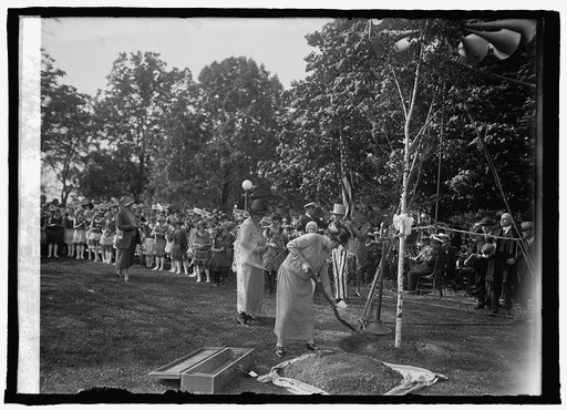 Planting birch tree at Capitol, [Washington, D.C.], Dist. Fed. of Women's Clubs, [5/9/25