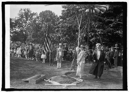 Planting birch tree at Capitol, [Washington, D.C.], Dist. Fed. of Women's Clubs, [5/9/25
