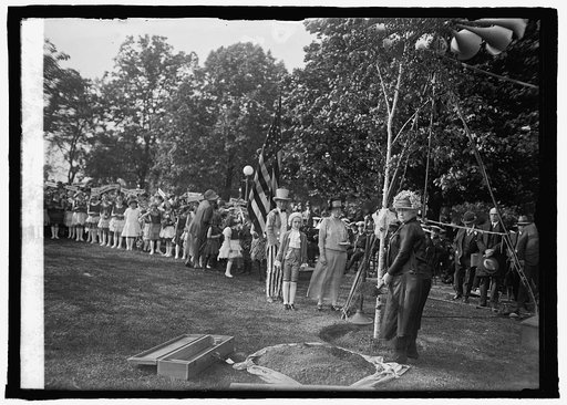 Planting birch tree at Capitol, [Washington, D.C.], Dist. Fed. of Women's Clubs, [5/9/25