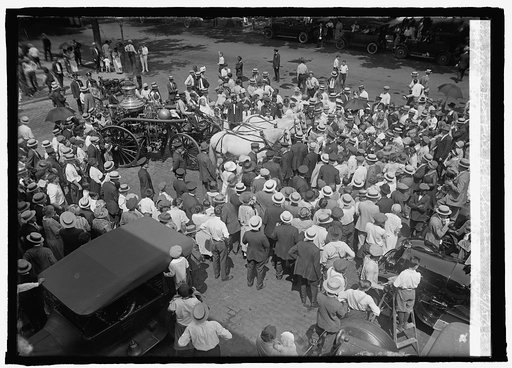 Last run of Barney, Gene, and Tom, Dist. Fire Dept. horses, 6/15/25