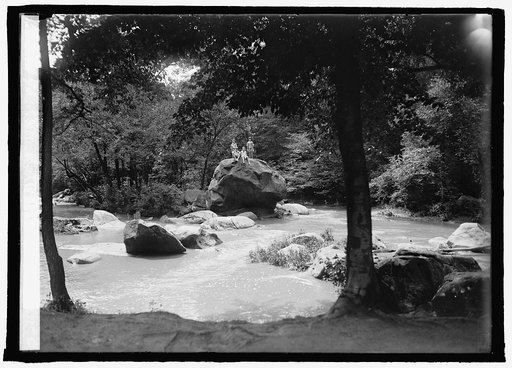 Rock Creek Park, 8/14/25