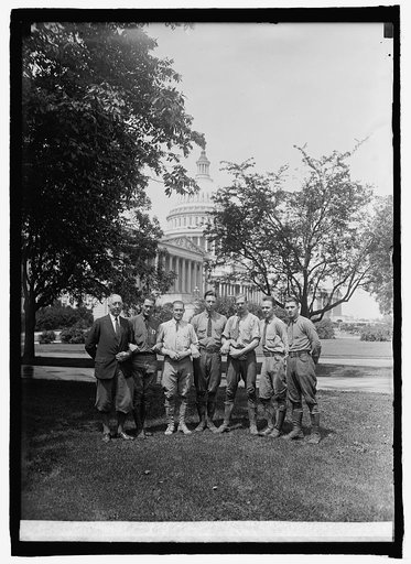 Tree surgeons in Capitol grounds, [Washington, D.C.