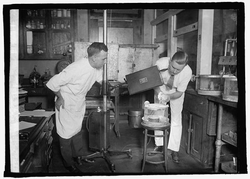 Violet Ray treatment on white rats at Ag. Dept., 1/13/26