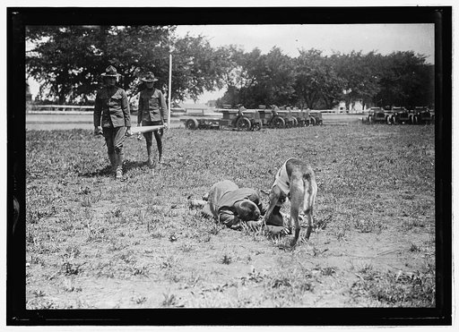Medical Corps, Allentown, Pa., July 1917