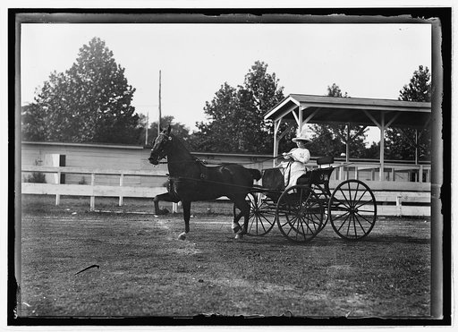 Horse show, July 1912