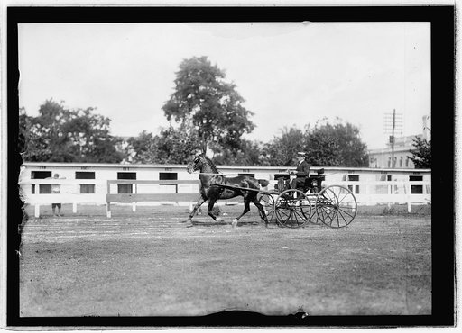 Horse show, July 1912