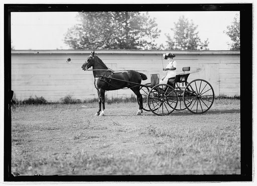 Horse show, July 1912