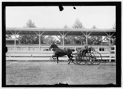 Horse show, July 1912