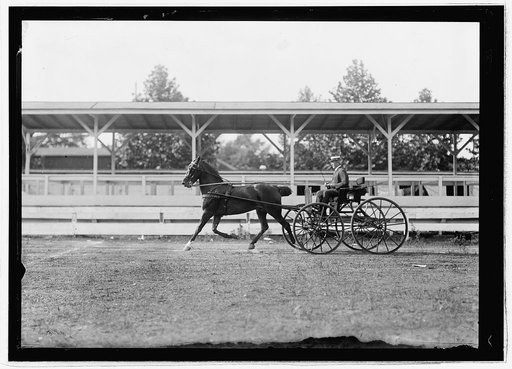 Horse show, July 1912