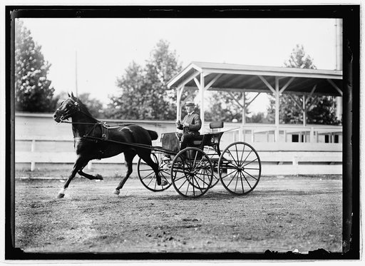 Horse show, July 1912