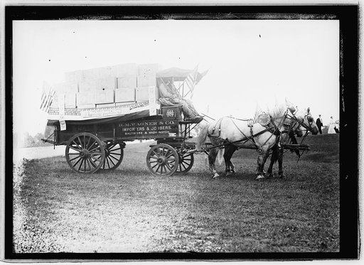 Horse show, Rock Creek, D.C. July 4, 1914