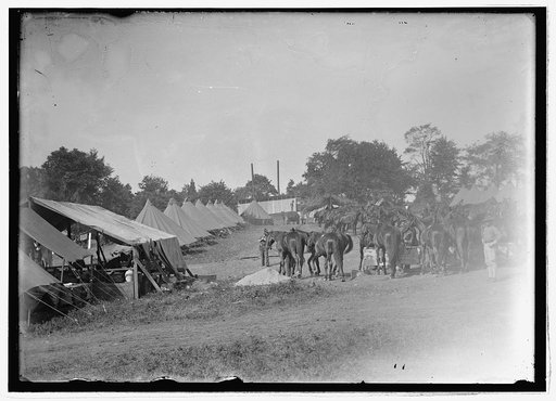 Cavalry camp, Winchester, Va., 1913