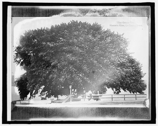Am. Forestry Ass'n, the Green tree, LeClaire, Iowa