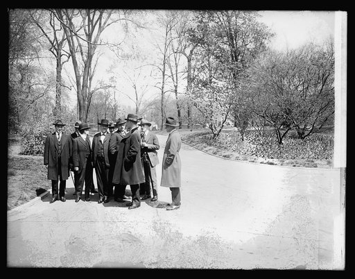 Cabinet group