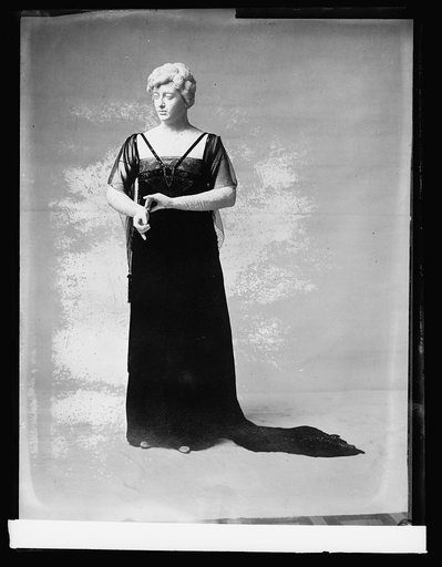 Mrs. Wilson's Gown, Museum