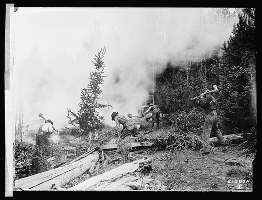 Forest Service: fighting a forest fire