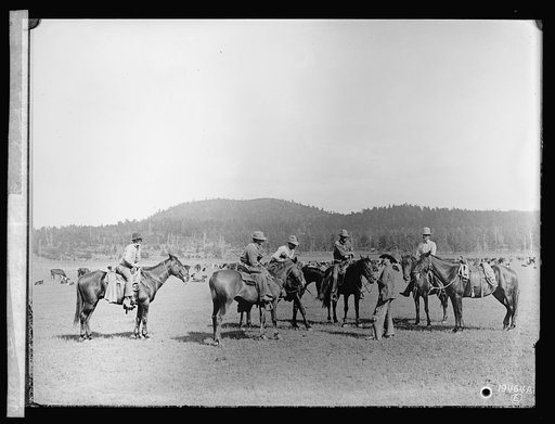 Forest Service: the round up