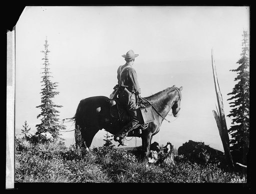 Forest Service