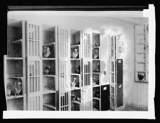 Signal Corps Lofts, 11/30/20