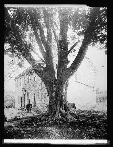 Wash. Oak, 1/6/21