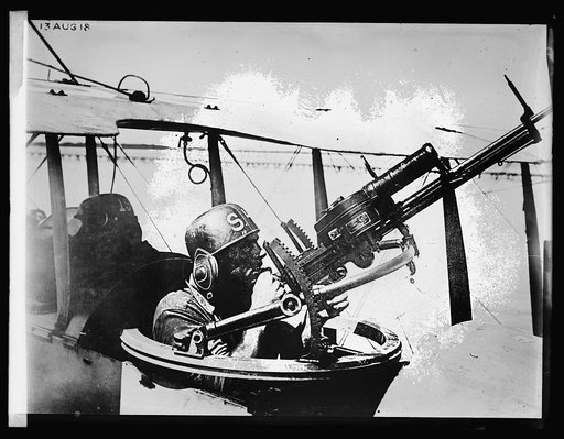 Camera gun, 8/31/22