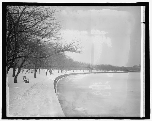 Japanese cherry trees, [Washington, D.C.], winter, [1/14/25