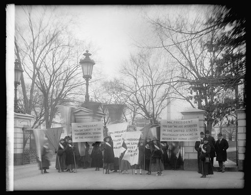 Suffragette pickets at White House, [Washington, D.C.], 1/25/17 N.Y. Del.