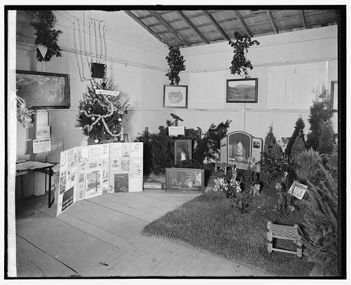 Rockville Fair, [Maryland], 1928
