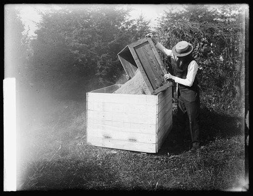 Bee story, storage, 10/11/19