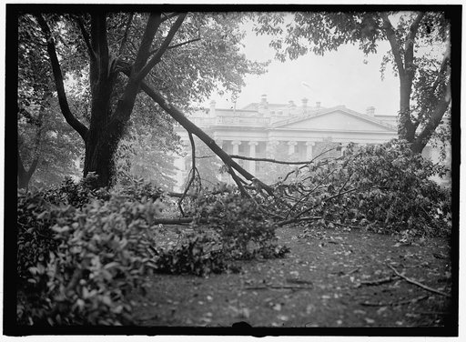 STORM DAMAGE