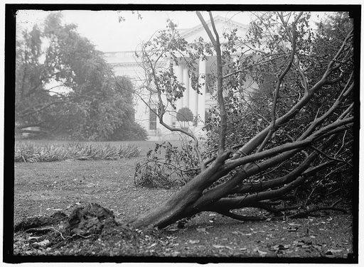 White House] STORM DAMAGE