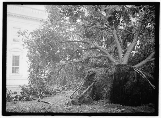 White House] STORM DAMAGE