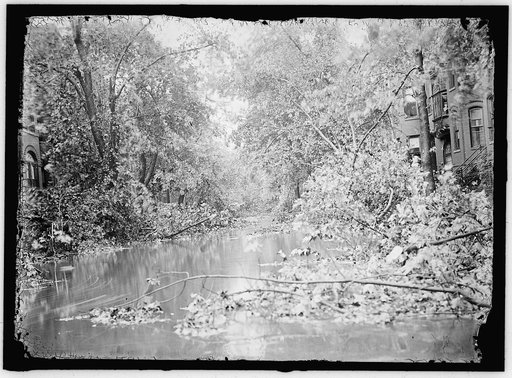STORM DAMAGE
